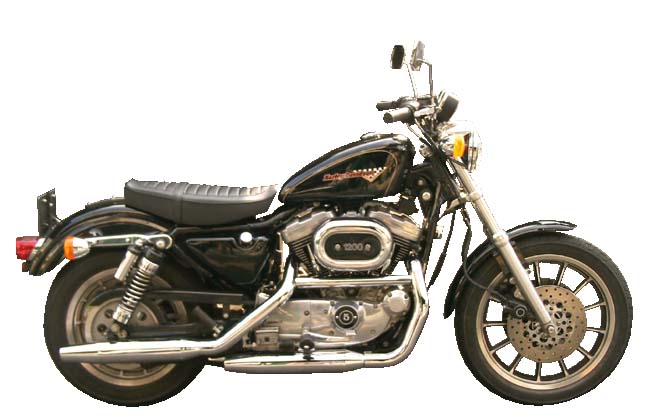 CHショーティー Yタック 〜03スポーツスター｜K＆H