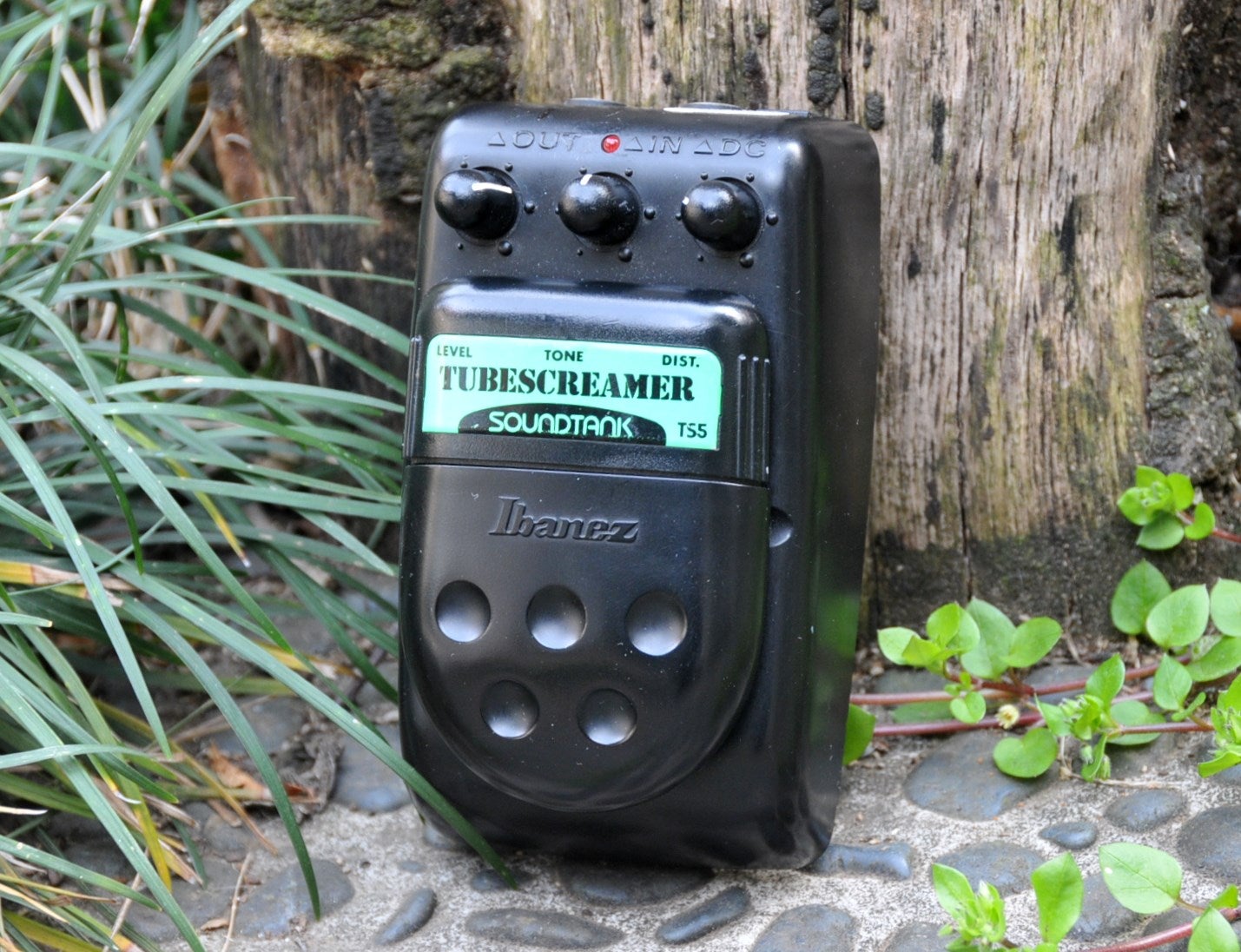 Ibanez TS5 | ディストーションとフランジャー