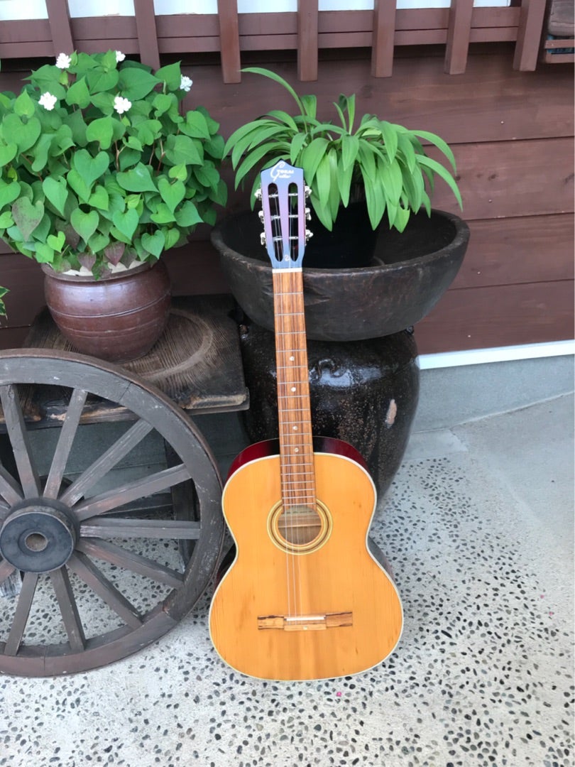 昭和鉄線ギター、TOKAI NO.540 | マナ男のﾌﾞﾛｸﾞ