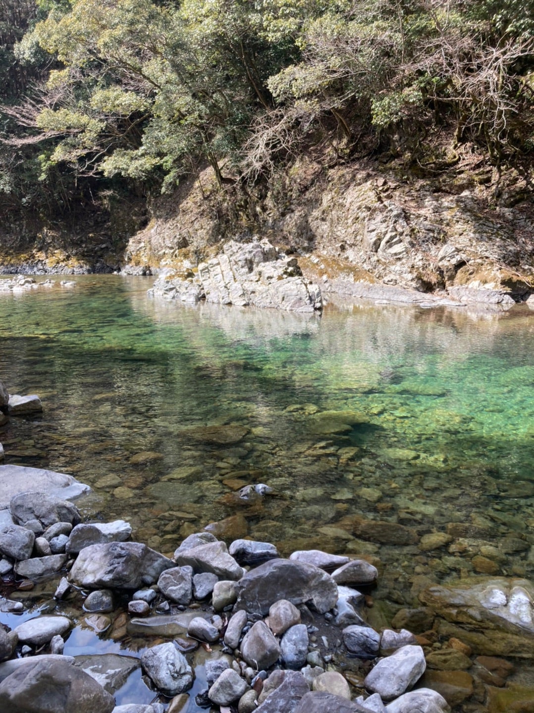 2日目】2泊3日で早春の渓流釣行in奈良県十津川村 春一番でルアーの変化