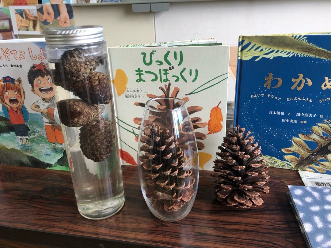 マニア萌ゆ。松ぼっくりの絵本3選＋1冊 | 絵本の森と子どもの空