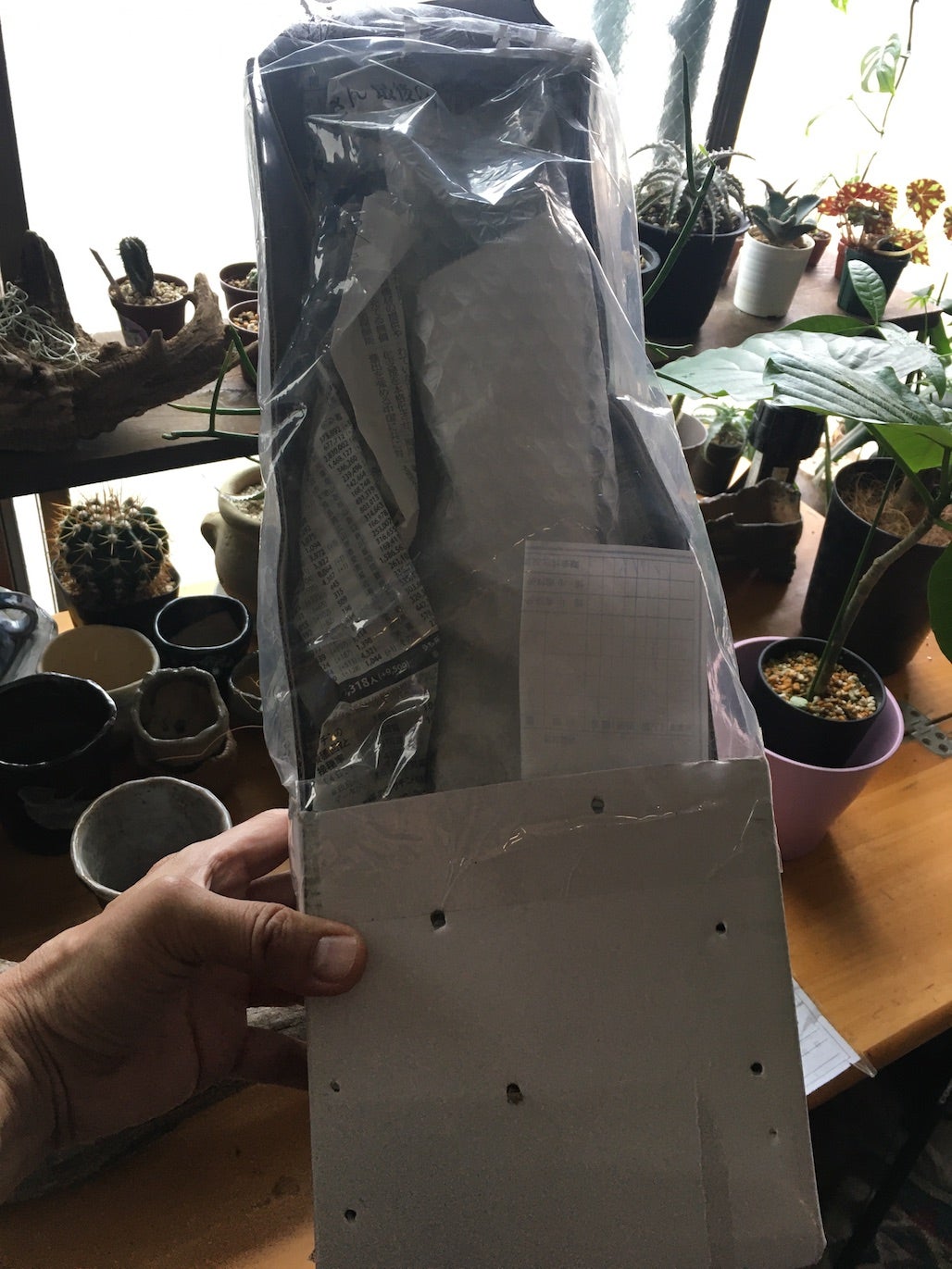 第4種郵便物の時間 | ブログ読んでお茶にしませんか？