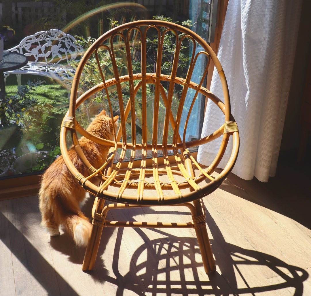 ⋆⋆【unico】衝動買いしたチェアが届きました！運命ってあるのかな