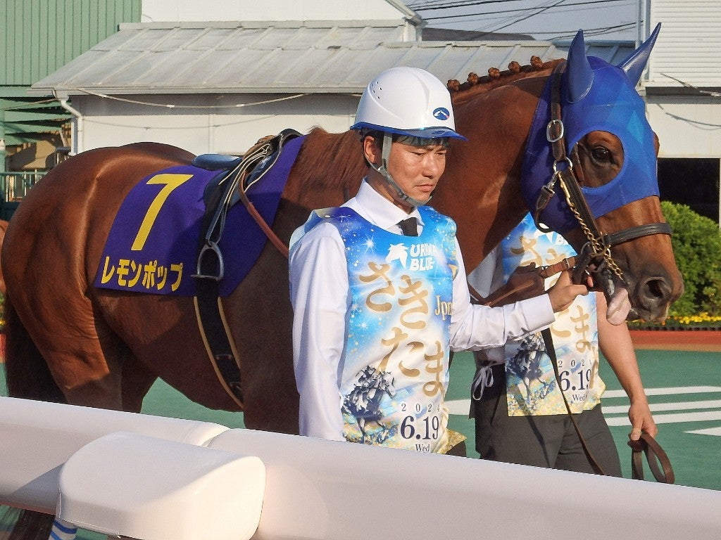 さきたま杯、レモンポップおめでとう！ | ゆいちーの馬ブログ～馬の