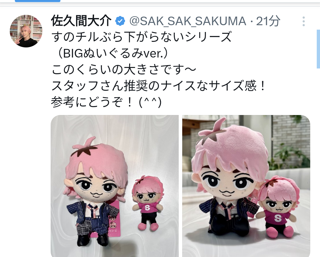 すのチルBIGぬいぐるみサイズ感 | さちこの推しごとブログ