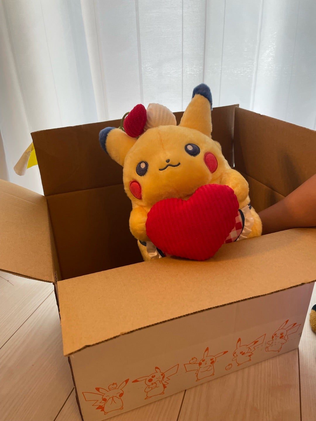 ピカチュウダイナーぬいぐるみが届いたよー！ | ディズニー大好き