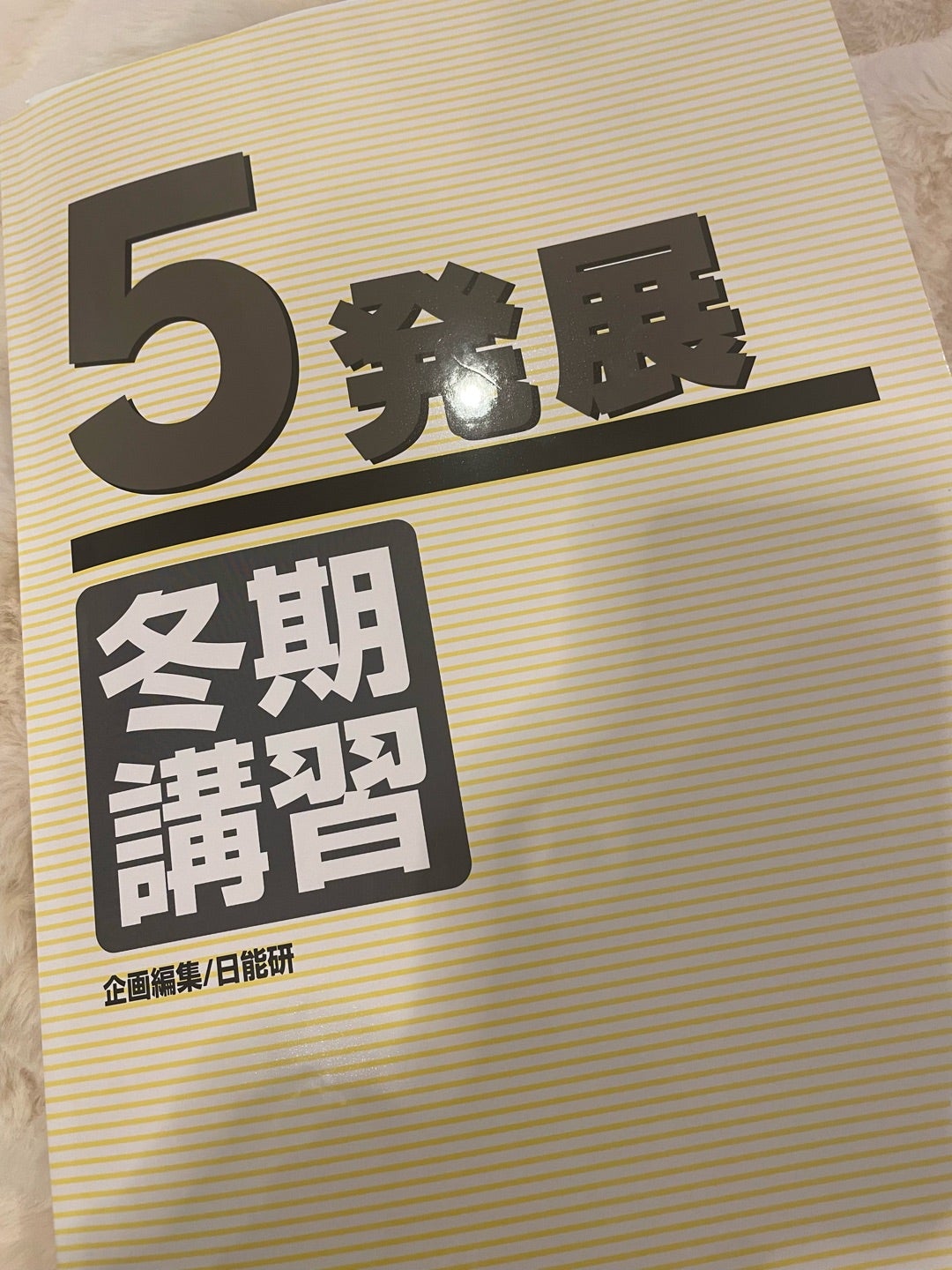 日能研】5年 冬期講習テスト 自己採点 | その日の話 ブログ ぺちゃ家の日常