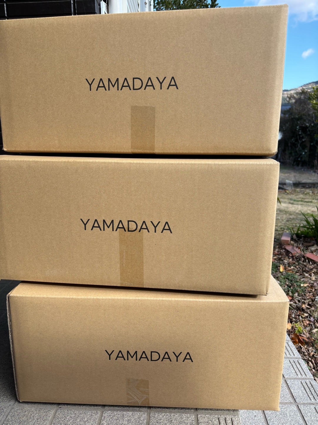 ヤマダヤ福袋2026 ① 3万円 ガルン | いち・たい・はるの母ブログ