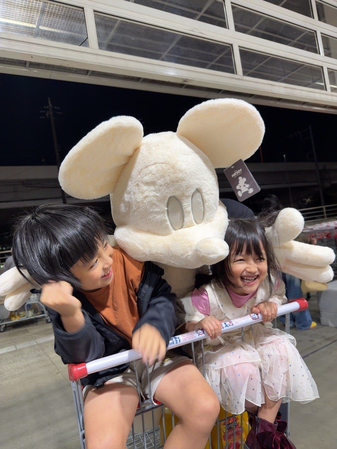 コストコのぬいぐるみ♡ | 川崎希オフィシャルブログ「のぞふぃす´s