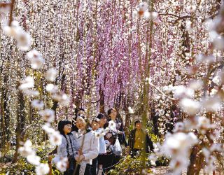 色彩豊か「毘沙門天」 初山宝林寺で鈴木さん絵画展：中日新聞しずおかWeb