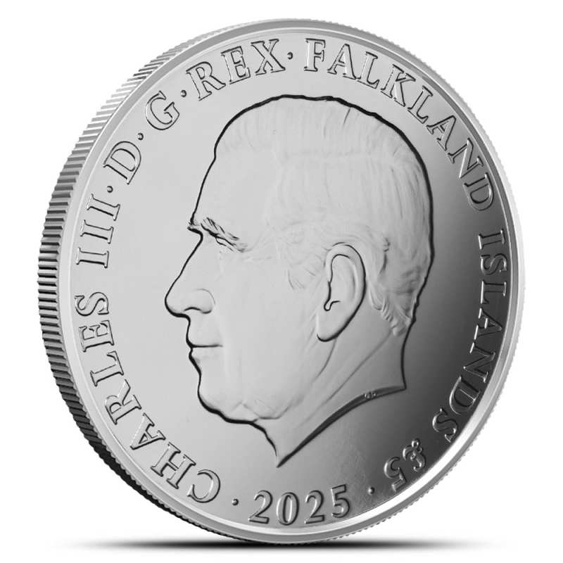 2025 1 oz Falkland Islands Silver King Penguin Coin l JM Bullion™