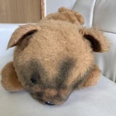 m15384675219_1.jpg?1663739739