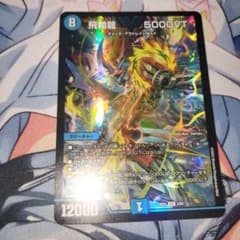 飛翔龍5000vt 2枚 初期 - メルカリ