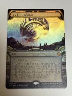フォモーリの宝物庫 ショーケース FOIL 日本語 - メルカリ