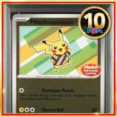 m13071513112_1.jpg?1757157300