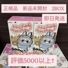 LABUBU ラブブ EXCITING MACARON 2箱 正規品 未開封 - メルカリ
