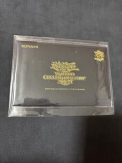 d*3様 WCS 2024 入場特典 セレブレーションイベント記念品 - メルカリ