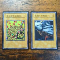 m40304413640_1.jpg?1712222478