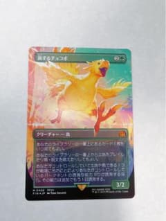 m41237340954_1.jpg?1767579161