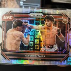 m55953769481_1.jpg?1691666024