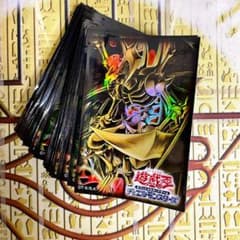 m70819002899_1.jpg?1717676645