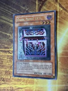 m73444516496_1.jpg?1762179798