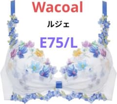 m86013887987_1.jpg?1751092737