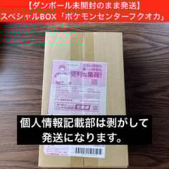 ダンボール未開封のまま発送】スペシャルBOX「ポケモンセンター