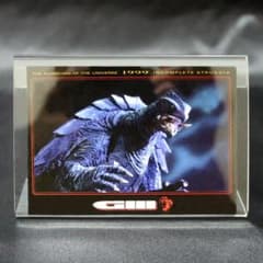 激レア／コンプ】ガメラ3 邪神覚醒トレカ 全29枚（前田愛直筆レア