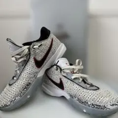 2026年最新】nike lebron xx epの人気アイテム - メルカリ
