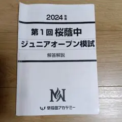2026年最新】桜蔭そっくり模試の人気アイテム - メルカリ