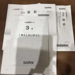 2026年最新】サピックス1月度復習テストの人気アイテム - メルカリ
