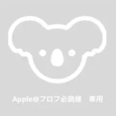 2026年最新】ラプンツェル パズル 完成品の人気アイテム - メルカリ