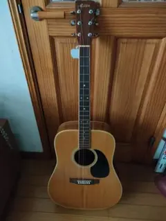 2026年最新】takamine eliteの人気アイテム - メルカリ