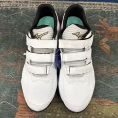 2026年最新】ミズノ 野球 グローバルエリート トレーニングシューズの