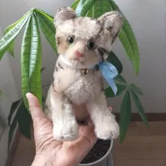 2026年最新】シュタイフ ねこの人気アイテム - メルカリ