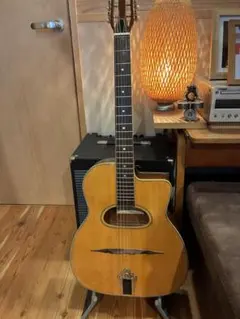 2026年最新】ギター wood landの人気アイテム - メルカリ