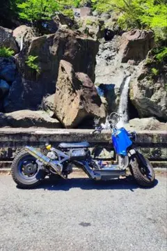 2026年最新】ズーマー 直の人気アイテム - メルカリ