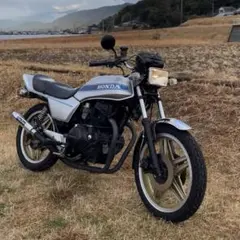 2026年最新】アルフィンミラーの人気アイテム - メルカリ