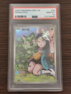 2026年最新】ニャオハ リコ 中国の人気アイテム - メルカリ