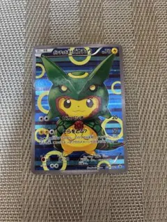 2026年最新】ポンチョを着たピカチュウ レックウザの人気アイテム