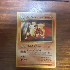 2026年最新】ウィンディ プロモの人気アイテム - メルカリ