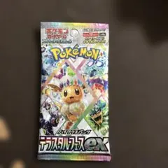 2026年最新】イーブイ テラスタル パックの人気アイテム - メルカリ