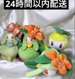 2026年最新】ドレディア くったりの人気アイテム - メルカリ