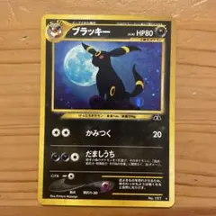 m77586448338_1.jpg?1772286249