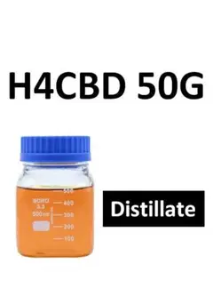 2026年最新】h4cbdの人気アイテム - メルカリ