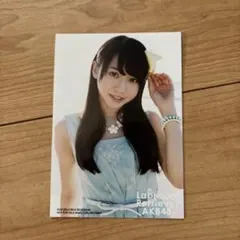 2026年最新】ラブラドールレトリバー akbの人気アイテム - メルカリ