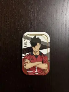 2026年最新】ハイキュー セブンネット スクエア缶バッジ おすわりの