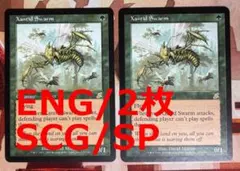 2026年最新】MTG ザンティッドの大群の人気アイテム - メルカリ