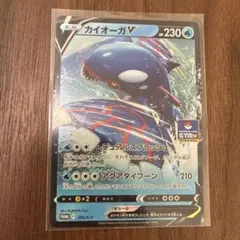 カイオーガV：ソード&シールド ジム プロモカードパック第11弾 PROMO